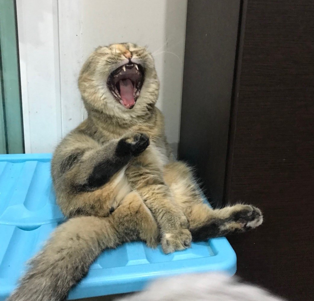 Bonusiie's tweet photo. รำคาญโง้ยยย https://t.co/mHyIckSctZ
