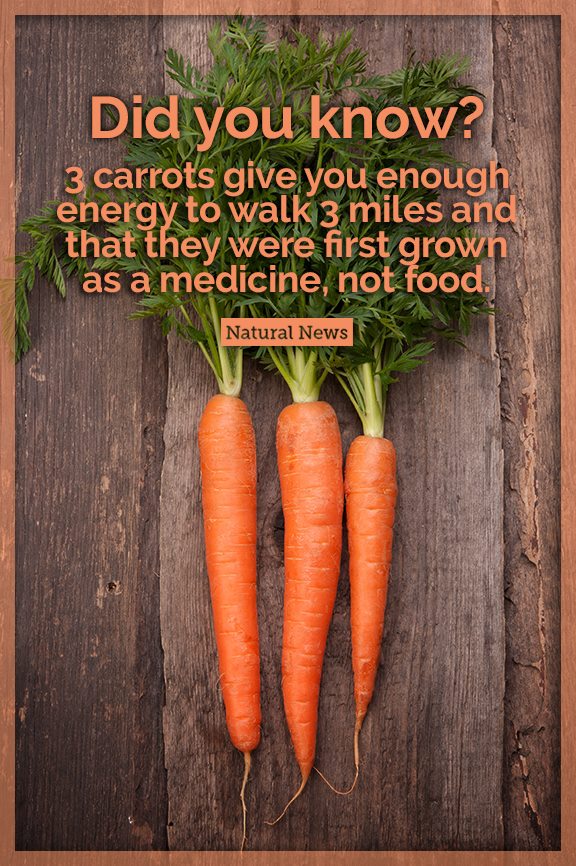 HealthRanger's tweet photo. Who would have thought... #carrots #nutrition #health https://t.co/MX0suglaD8