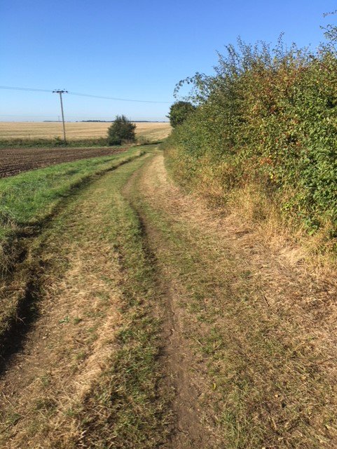 Less than 12 hours to register if you haven't already signed up for the <a href="/Bourn10k/">Bourn to Run</a> or 3K.  #xcountry #ruralruns #10k #3k