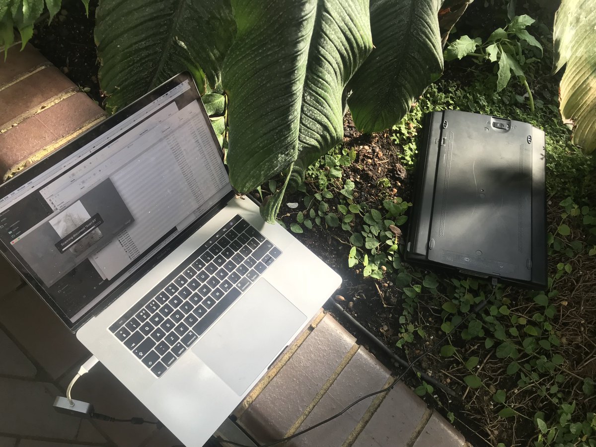 Sabba Keynejad tweet media