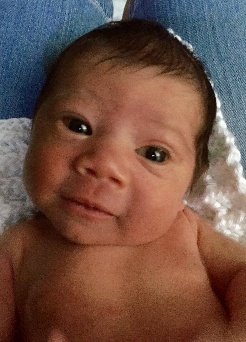 This little guy was born right before hurricane Florence hit Fayetteville NC. Baby Miles has been a little trooper through all of this. Now if we could get the power restored (we’re at day 4)!