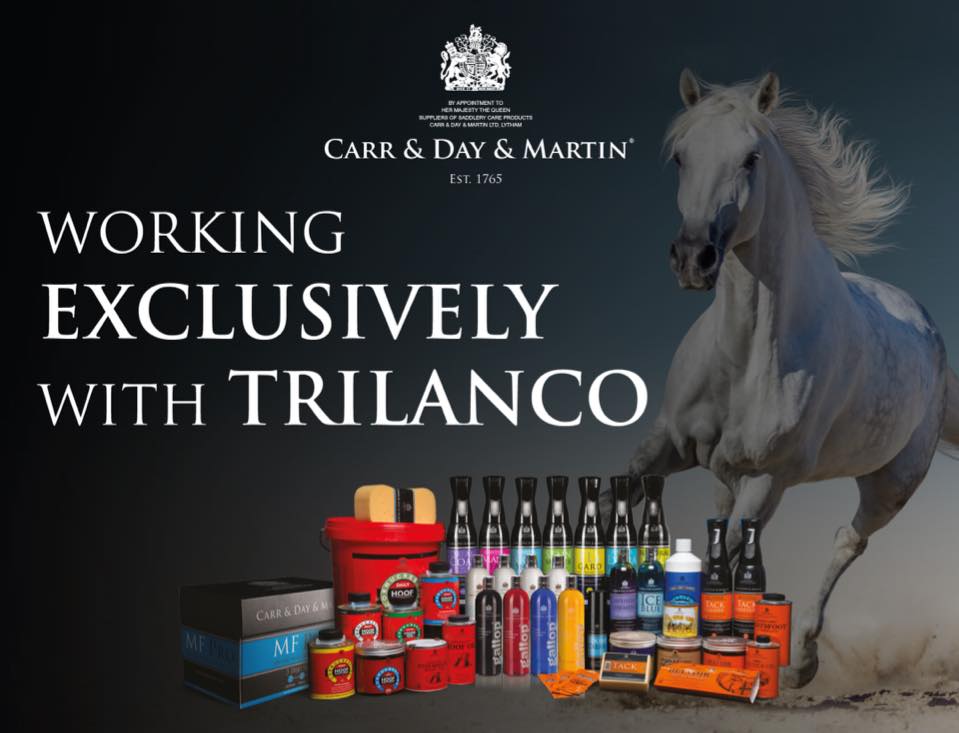 Trilanco Ltd tweet media