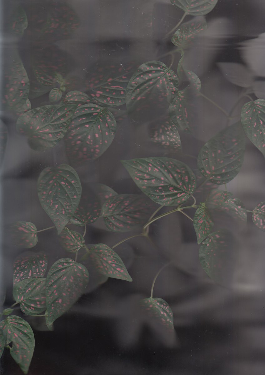 Sabba Keynejad tweet media