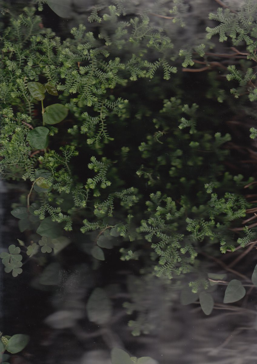 Sabba Keynejad tweet media