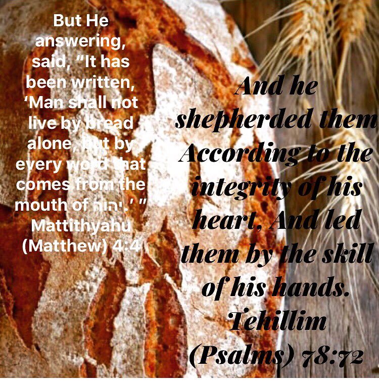 KingdomHarris's tweet photo. #kesel Our Elohim must b our confidence & will keep our feet from being taken! ..BUT CHOSE HE THE TRIBE OF JUDAH, THE MOUNT ZION WHICH HE LOVED! #so #he #feed #them #according #2 the #integrity of His โค๏ธ; & #guided them by the #skillfulness of his #hands โผ๏ธ๐๐ฝ Psalm 78 https://t.co/kpyUgZ6XVf