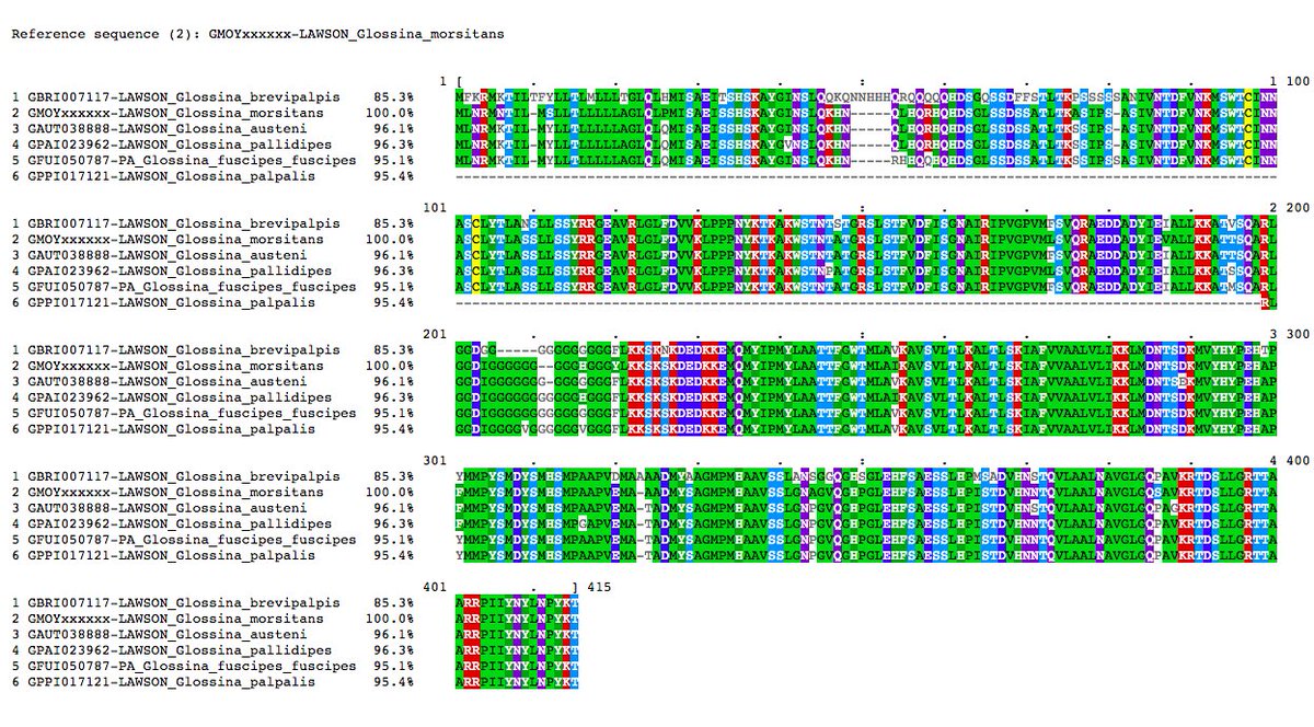 VBannotator's tweet image. Osi4, protein osiris 4, 1 novel, 4 edits. #Glossina #palpalis is partial due to sequence gap in the assembly. #VBannotation