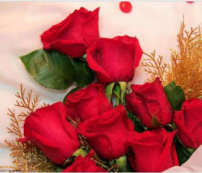 Девушка с букетом роз. Букет роз "любимой". Роскошные цветы. Красивой женщине красивые цветы. Самый красивый букет роз.