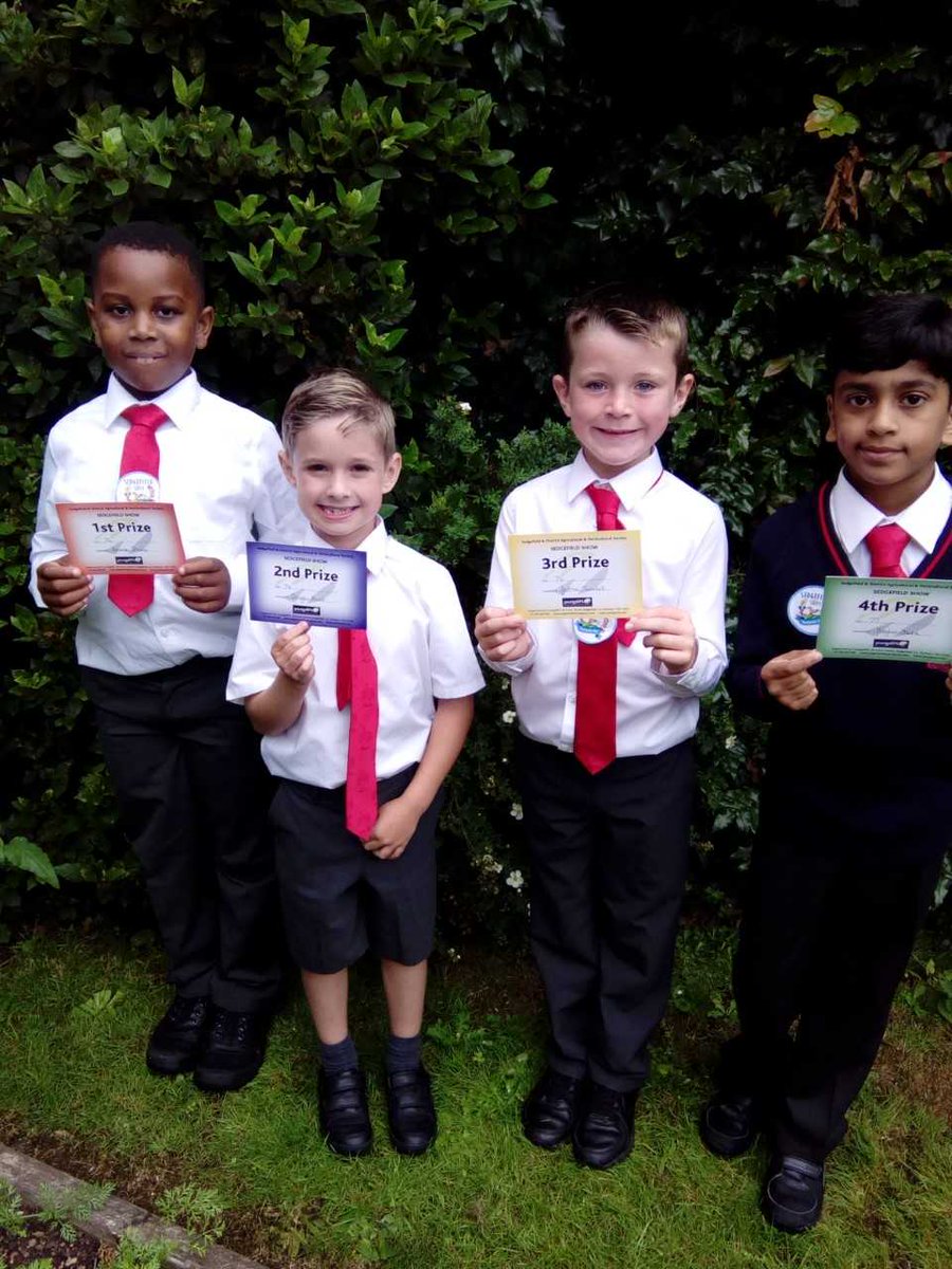 Red House Junior School tweet media