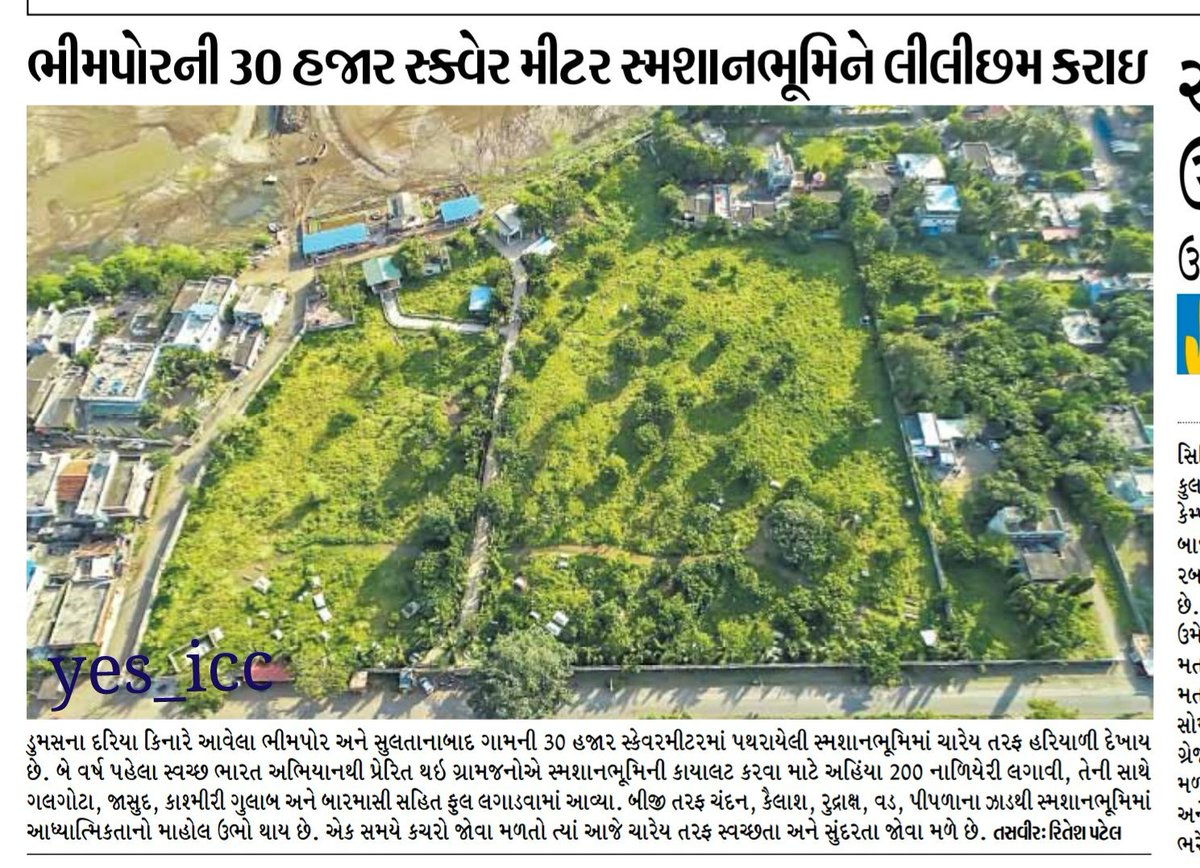 DevelopedSurat's tweet photo. #Wonderful_Job by #Bhimpor Village People
Developed #30000_SquareMetre_Green_Land
#ભીમપોર ગામવાસીઓ એ , ૩૦,૦૦૦ sq mtr વિસ્તાર ને #લીલોછમ બનાવી દીધો ...
@Divya_Bhaskar @DainikBhaskar #Dumas #Surat #Gujarat #yes_icc #AthwaZone #Sultanabad @OurSMC @zankhanabenbjp ji https://t.co/kPXgdhevcL
