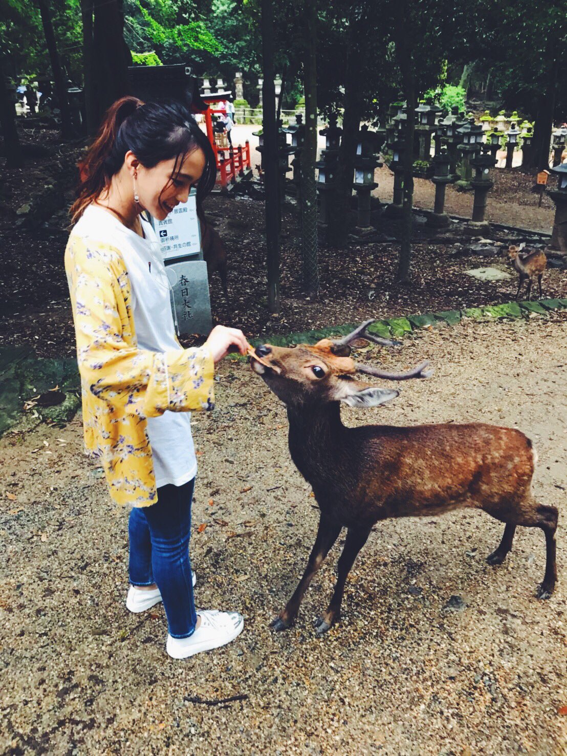 Leola Official 鹿が可愛いすぎた件 こんだけ可愛かったら 鹿せんべい 食べさせちゃうよー笑 Leola 奈良公園 T Co Y9uyawuwtp Twitter