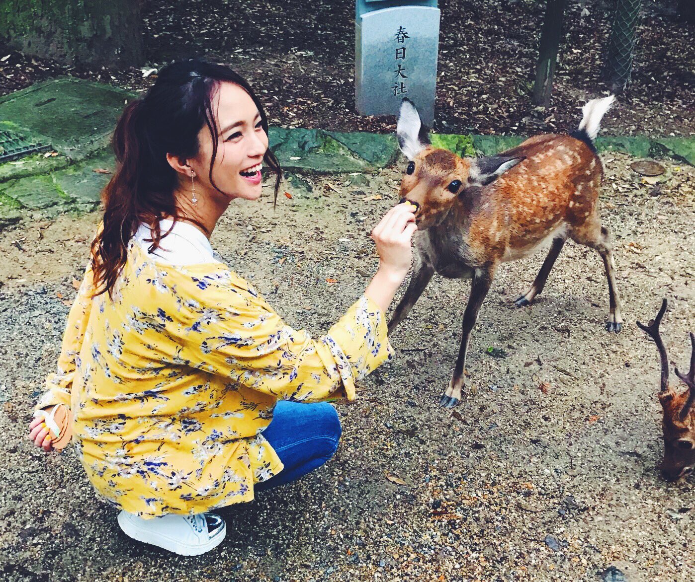 Leola Official 鹿が可愛いすぎた件 こんだけ可愛かったら 鹿せんべい 食べさせちゃうよー笑 Leola 奈良公園 T Co Y9uyawuwtp Twitter