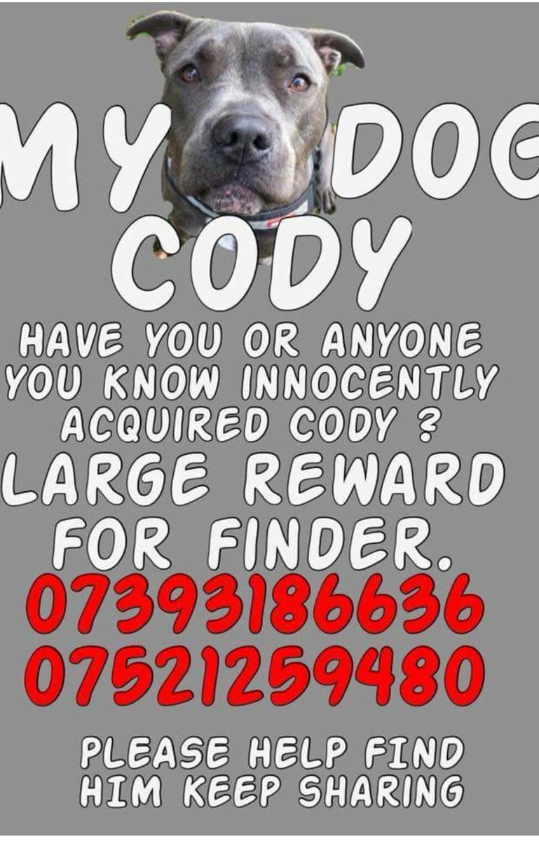 MissingPetsGB's tweet photo. 🐕 #BringCodyHome 
Where is Cody? #missing since 2 Aug 2018.
If you know where Cody is please contact his owner or call 101. @bringcodyhome https://t.co/TmjDyCZiJl