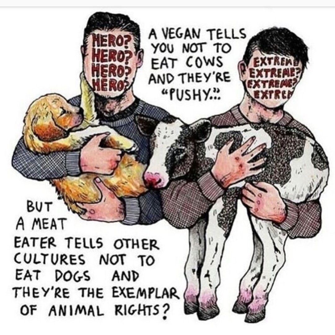 AnnamarieClear1's tweet photo. All animals are the same and they all matter,there is no difference just your perception .....
#allanimalsdeservetolive #allanimalshavesouls #thereisnodifference #yourperception #veganlife #goveganfortheanimals💚🐷🐮🐣🐖🐗🐰🐔🐟🐬🐋🐵🐐🐏💚 #vegancommunity #animalactivist https://t.co/If8RDlCS1y