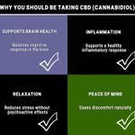 Photo by 🌱CBD Oil Purest🦋🌿 (@CBDoilPurest)