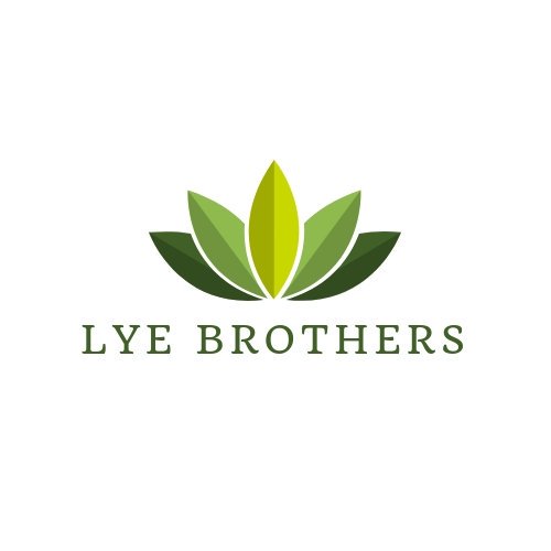 my_absolutions's tweet image. Happy Client. The LYE Brothers. Product branding, logo design.
.
#Digitalmarketing #webdesigner #graphicdesigner #travelagent #educationconsultant #naija #lagos #abuja #corporateconsultant #clearingagent #forwardingagent #logistics  #carsforsale #absolutions #Nigeria #copywriter