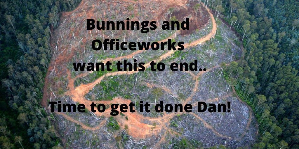 eastgippyforest's tweet photo. Bunnings and Officeworks will dump native forest logging by 2020. Time for the @DanielAndrewsMP government to do the same by protecting our precious #forests from #logging &amp; rapidly transitioning the industry #SpringSt 

@abcnews report >>https://t.co/eTgz4wuqLp https://t.co/3gBKLAXEyf