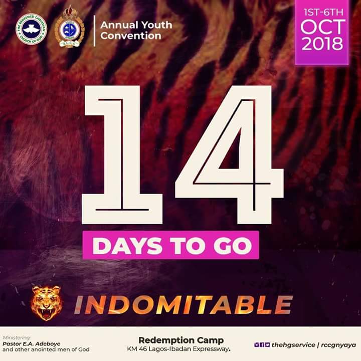 fafure_paul's tweet photo. We have 14 days to go to the gathering of the INDOMITABLES!!! https://t.co/9nIvNXBev5