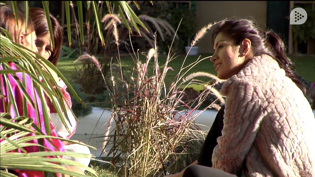 MiriamSaavdra's tweet image. Día 1 de Miriam en la Casa de @ghoficial ! El día empieza con una conversación entre #TechiCabrera @IsaPantojam y #Miriam en la que están comentando la entrada del Huracán Peruano y su relación con Monica Hoyos.¿QUIERES SABER DE HABLAN?  #ghvip24horas en @miteleonline