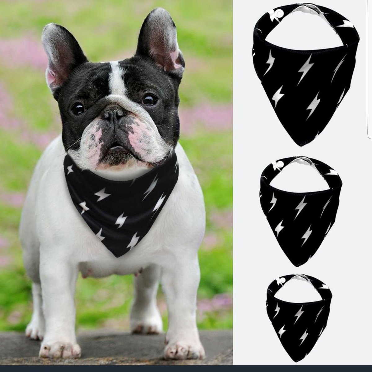 Wags4You2's tweet photo. Check these out right now! Limited supply! Hurry quick before they are all gone! Link in bio! 
❤like
👉follow 
💬 comment 
Don't forget to take your friends! 
#limitedsupply #dog #dogs #doggo #doggy #doglovers #dogbandana #puppy #puppies #doggolove #tagafriend #tagsomeone https://t.co/QIrRKpTBok