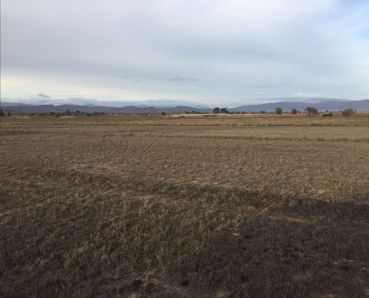 AgriWesKaap's tweet photo. #WesternCape has had welcome & much needed #rain past few weeks, but spare a thought for #KleinKaroo – 3d year #drought #nofeed #nograzing losing #vineyards & #orchards - #agri activities almost at complete standstill #nowater
Contribute 2 disaster fund @ https://t.co/HgWEOyUEaY https://t.co/LiV9GKDGcy