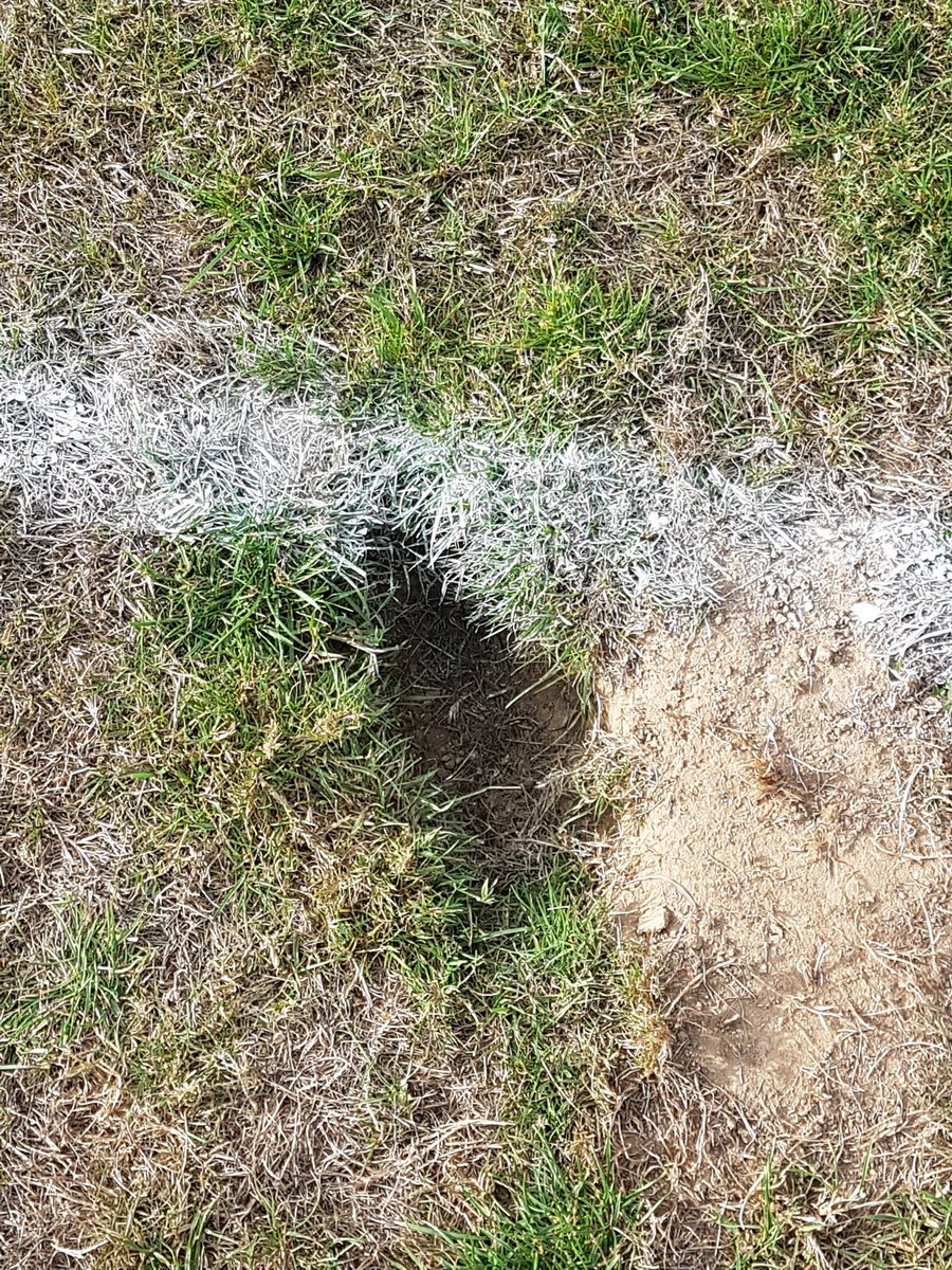 SmithStephenP's tweet image. Yesterday; during my pre match inspection of the field of play, I found a hole that needed to be filled in.  It didn&apos;t look bad until I managed to put my whole foot inside it.  See pictures.
@BBFAReferees
@ReadingRA
#GetThereEarly
#DoTheJobProperly
#NeverShirk