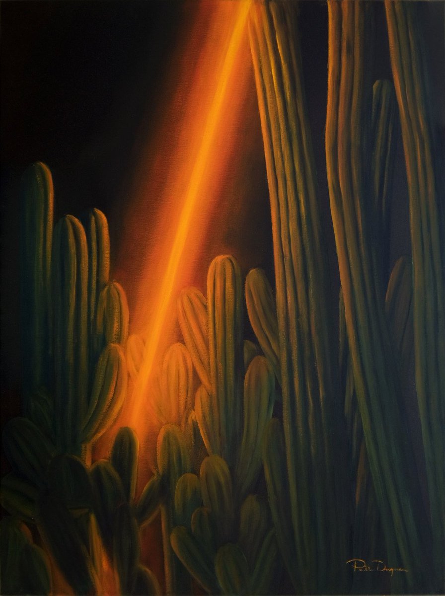 Pati Duque tweet media