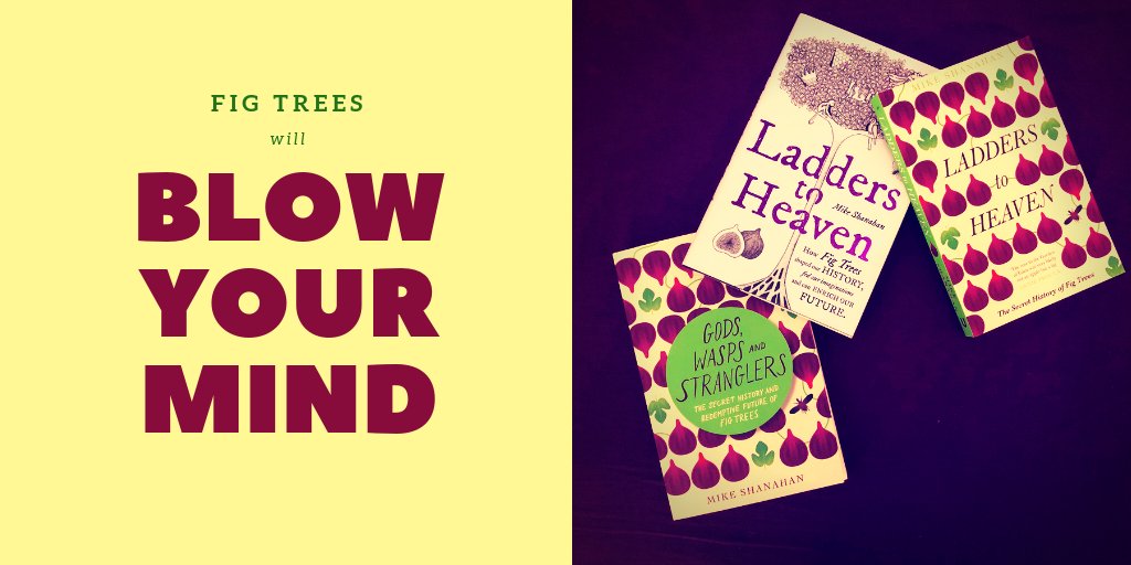 shanahanmike's tweet photo. My book is now available internationally in hardback, paperback, ebook and audiobook editions (different titles in different terrritories). For more info and reviews, see: https://t.co/rg3tRDdOcg #FigsBook https://t.co/sLujsXYV2Y