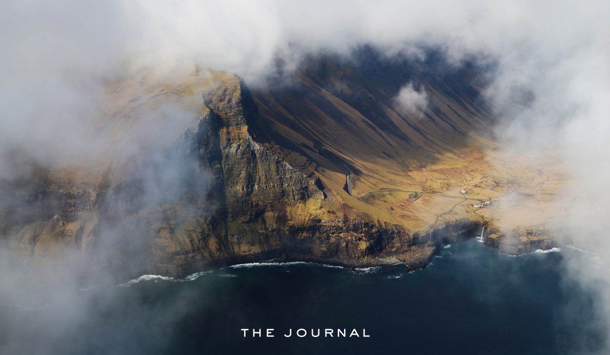 Total Management tweet media