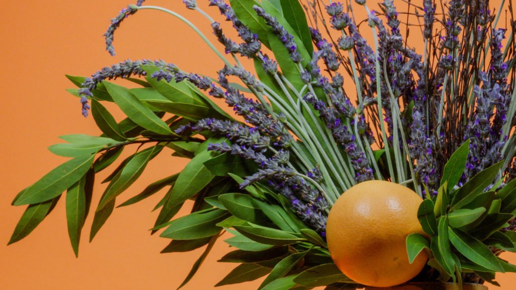 Cloudious9Crew's tweet photo. Terpenes and the Entourage Effect
How terpenes work with cannabinoids to produce the cannabis plant's most desired effects.
#MMJ #terpenes #entourageffect https://t.co/HBAVYFLihO