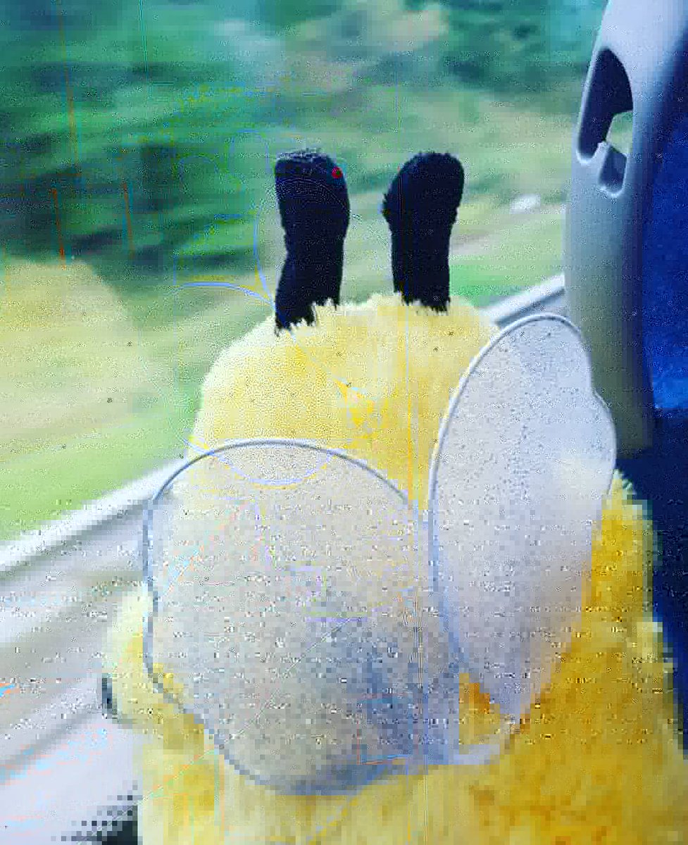Sproglet13's tweet photo. Well we are off to #YLFest18 buzzzzing! #GBistheplacetobee #DukeofEdinburghAwardGold #Residential #BeeAdventures @gbinscotland @GBSChiefExec https://t.co/6sn90znCnb