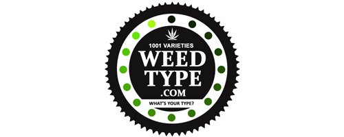 DotSuperstore's tweet photo. https://t.co/hVnje3oIRM  - Premium #Marijuana Domain . Perfect for Medical Marijuana Dispensary. What's Your Type? ONLY $99 OBO. #WeedDomain #MarijuanaDomain  #MedicalMarijuana #CheapDomain https://t.co/dRnuROA74l