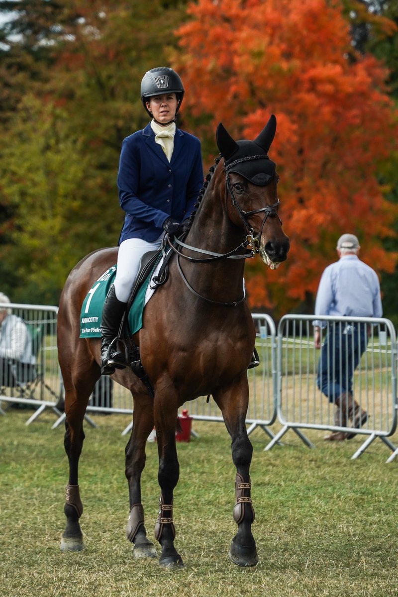 HarryHallRiding's tweet photo. Autumn colours starting to peek through...@HannahBishop79 is head to toe Caldene, Harry Hall, Tottie and Annacotty is looking stunning in his @MastaRugs Protechmasta Fly Veil #ROR #horseandrider #showing #dressage #lookthepart. Thanks to @JustMsHannah for the snap https://t.co/8A5FhnsOK3