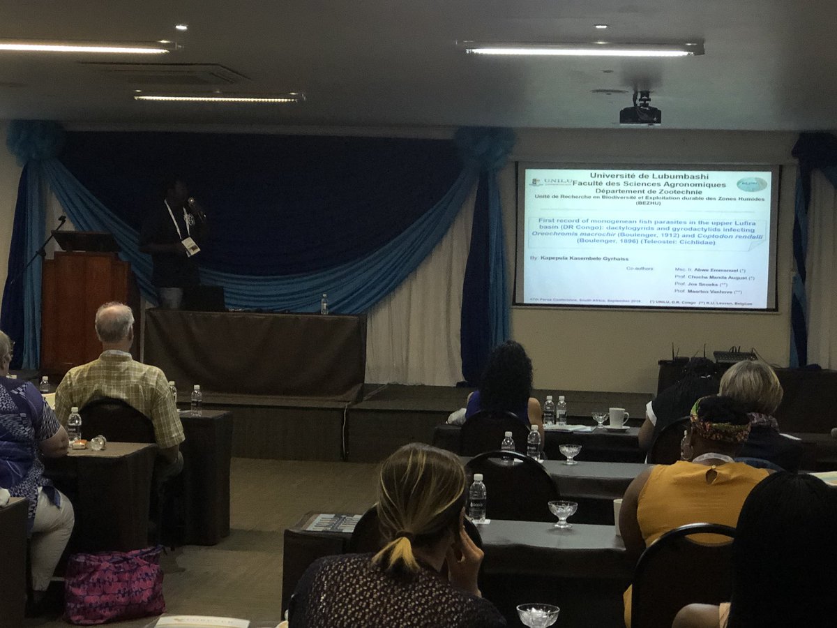 AliHalajian's tweet photo. #PARSA2018
From #DRC Mr #GyrhaissKKasembele on #monogenean fish parasites on #OreochromisMacrochir and #CoptodonRendalli
Congo basin. #Cichlidogyrus
#parasitology #parasites #DRCParasites #FishParasites https://t.co/cFKDfP9My3