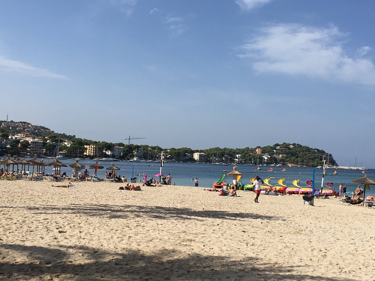 DebbieAbrahams's tweet photo. Taking some time off in the sun to recharge my batteries and plan out my next few projects...#2019mysteryblanketclub https://t.co/iN2FzvkHZY
