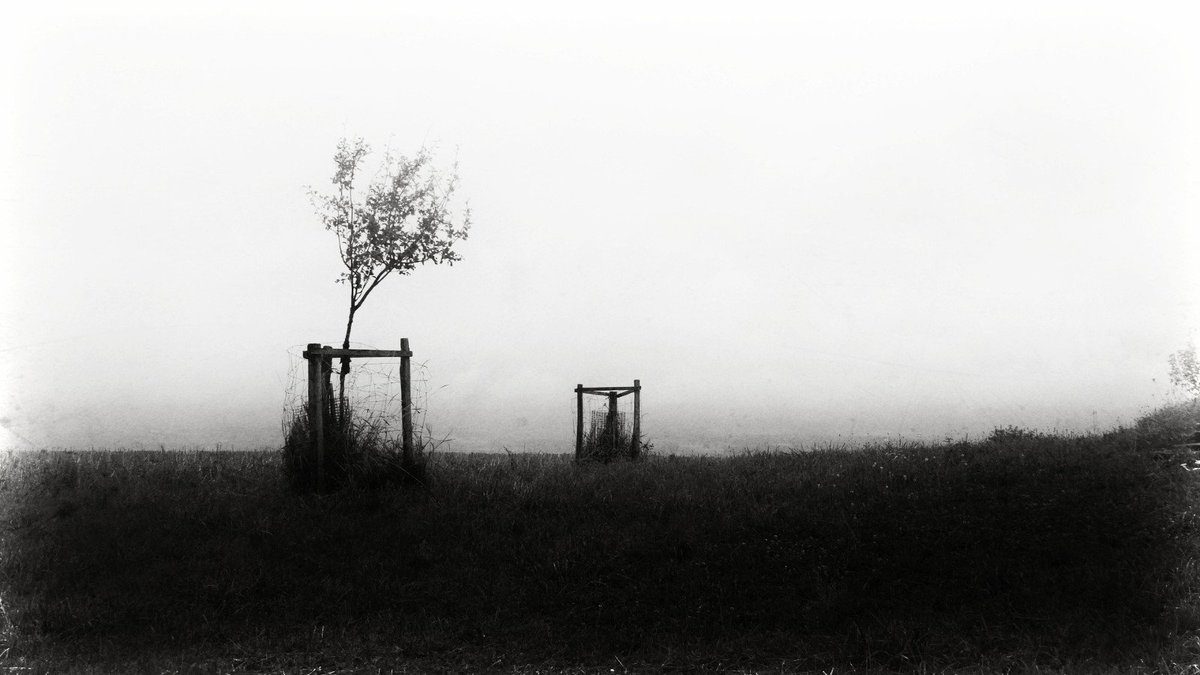 withnomoney's tweet image. 