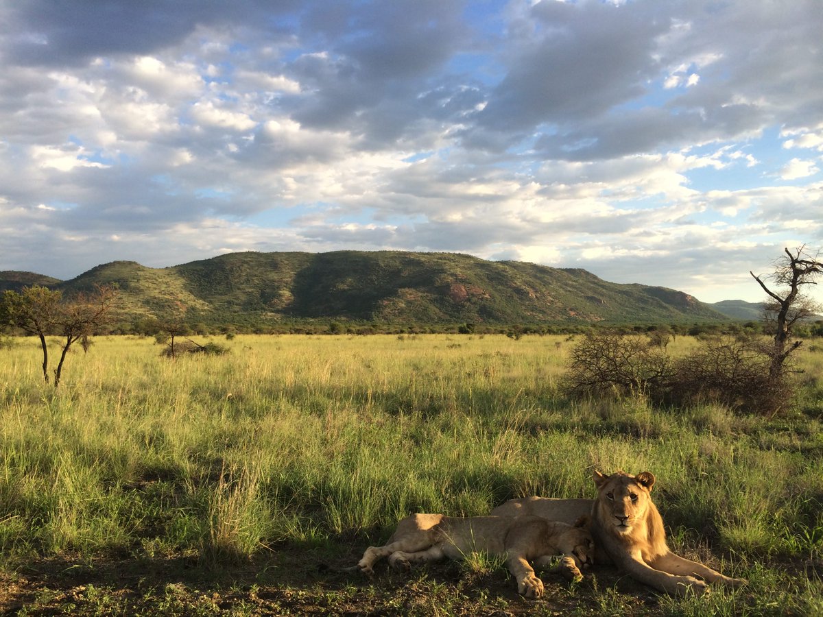 Elephant_Point tweet picture