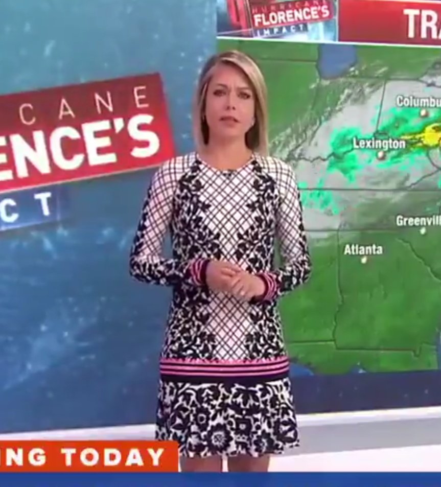 adrienne_l_f's tweet photo. @DylanDreyerNBC I love your dress today! Where can I find it!? https://t.co/iPpz9PsQJG