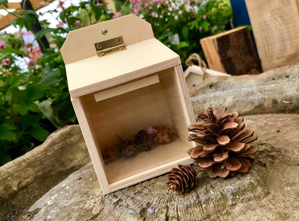 Simpsonsgarden's tweet image. Book now for our October kids activities - spaces are filling fast! Book in store or online at: goo.gl/8Gr2sy #kidsactivities #whatsoninverness #octoberbreak