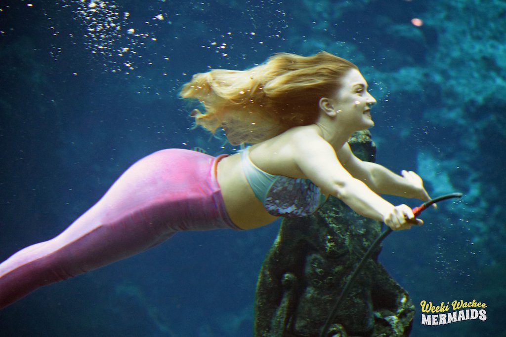 WeekiWacheeSpgs's tweet photo. Happy #MermaidMonday from Cheyenne. Have a wonderful week! #weekiwachee #mermaid #mermaidlife #loveweeki #Florida https://t.co/Ke5kZatGWh
