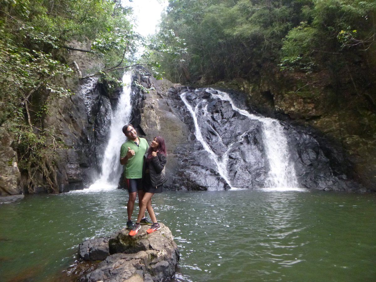 Summer is just around the corner and we can't wait to relax in the refreshing waterfalls of the <a href="/Ath_Tablelands/">Atherton Tablelands</a> with Waterfall Wanderers!
#athertontablelands #summer #waterfalls #cairnstours #Cairns