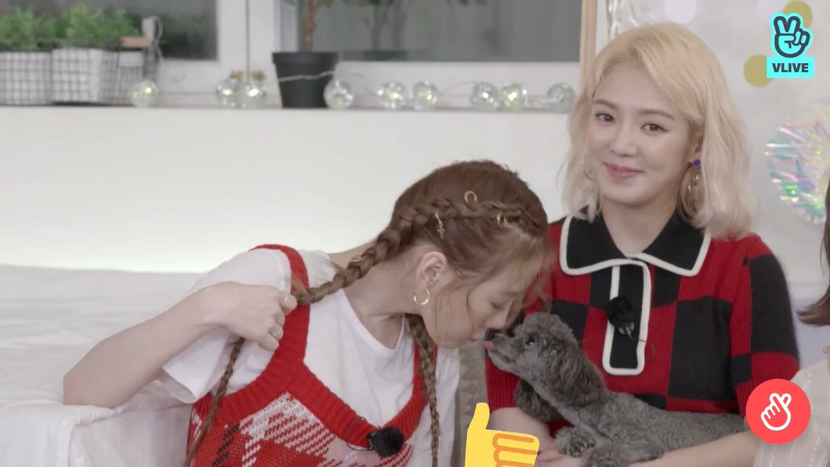 DacostaFelcy's tweet image. Retweet for hyoyul (with DooE)     

Like for hyotae (Venus) 

#Hyoyeon #Venus #DooE #Taeyeon #Yuri #GirlsGeneration_Oh_GG