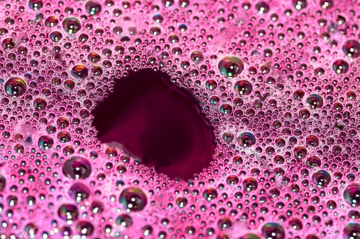 Tenemos el placer de invitaros a nuestra próxima jornada técnica con #Enartis el miércoles 19 de septiembre en Peñafiel. vidyenol.es/jornada-tecnic…