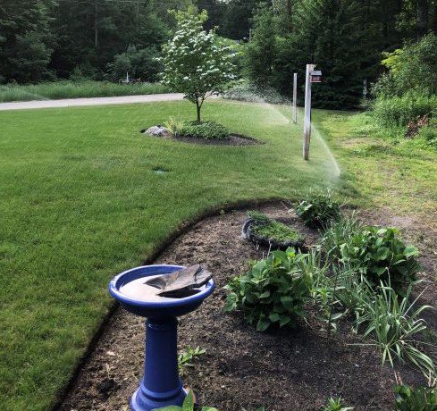 reamdesign's tweet photo. Beautiful curved garden and Irrigation! Brown grass is unhappy grass. 
#ifLawnsCouldTalk #irrigation #reamdesign #landscapedesign #landscapedesigner #bestofhouzz2018 #grass #green #winteriscoming #fallschedule https://t.co/1wG2HU6rTv