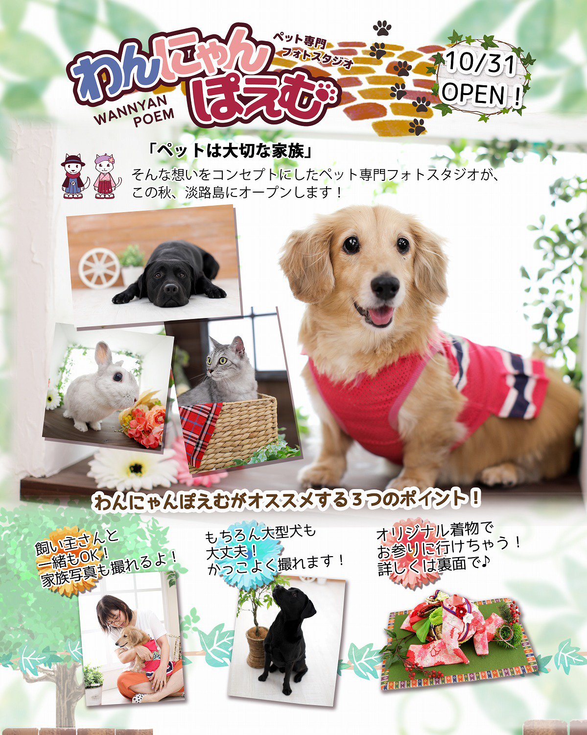 淡路島のペット専門フォトスタジオ わんにゃんぽえむ わんにゃんぽえむのチラシができました オープン日も10月31日に決定 いろんな衣装と いろんなプランを用意してお待ちいたしております わんにゃんぽえむ ペット専門フォトスタジオ 大型犬
