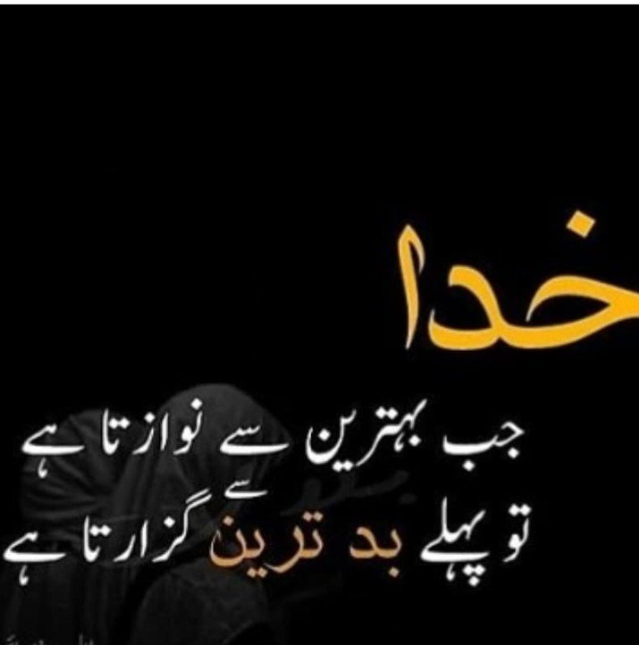 sheema Khan on Twitter