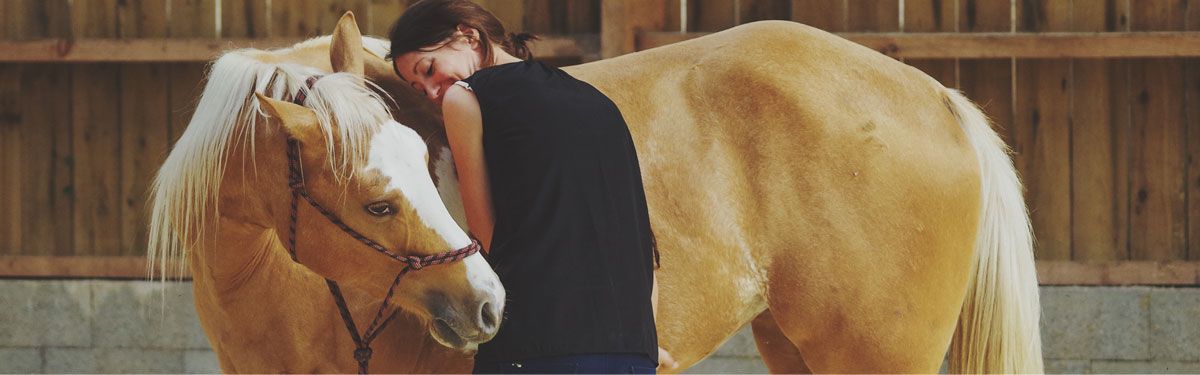 horsedevfr's tweet photo. Développement personnel avec le #cheval : Les chevaux nous mènent sur le chemin du développement personnel et nous offrent les clés du juste équilibre dans notre vie. Il est un puissant allié dans notre quête personnelle. 
Via @chevalpartage 
https://t.co/Gn1m7Uzvop https://t.co/hhAot5oamL