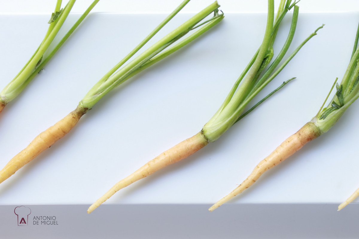 Antonio de Miguel SA tweet media