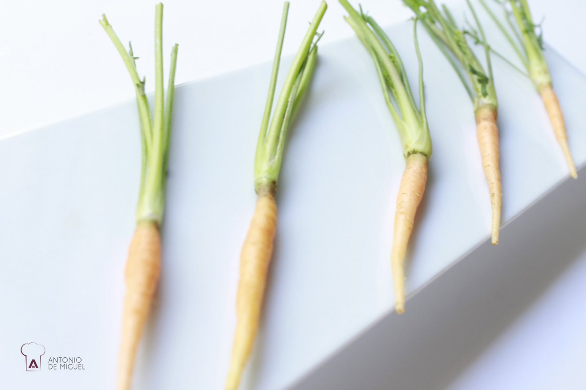 MICRO zanahorias de <a href="/can_garus/">Can Garús</a> , un micro producto para una macro receta!
#micro #carrot #microzanahoria #alimentosselectos#ventajasdetrabajarconAntoniodeMiguel