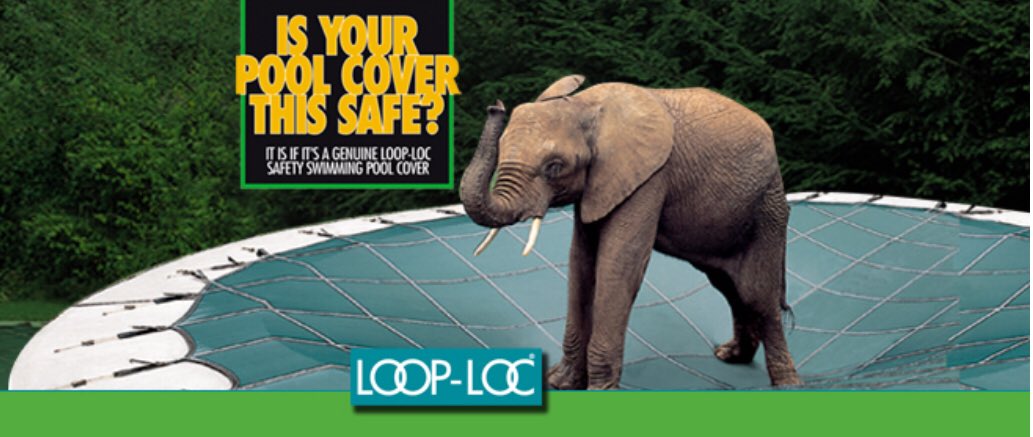 Morgan Sprader tweet media