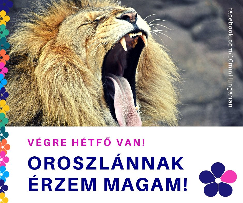 Végre hétfő van! Oroszlánnak érzem magam! 
Finally, it's Monday! 
I feel like a lion!

orosz - Russian
oroszlán - lion

#10minHungarian #learnHungarian #MondayMotivation #elearning #magyar #magyarnyelv #Hungarian #vocabulary #word #languagelearning